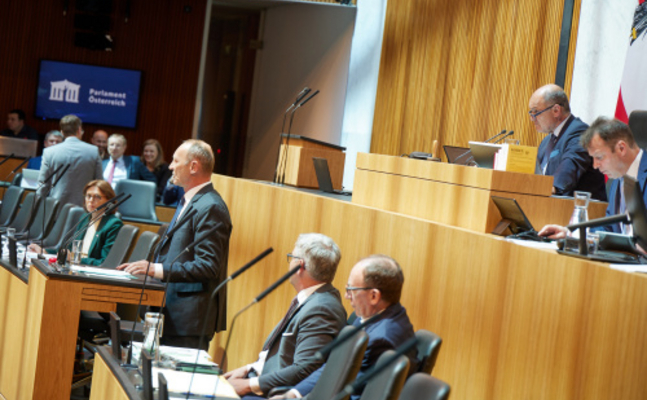 FPÖ-Wirtschaftssprecher Axel Kassegger im Hohen Haus.